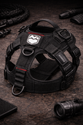 black dog harness