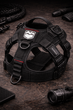 black dog harness