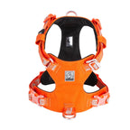 Orange Truelove Dog Harness