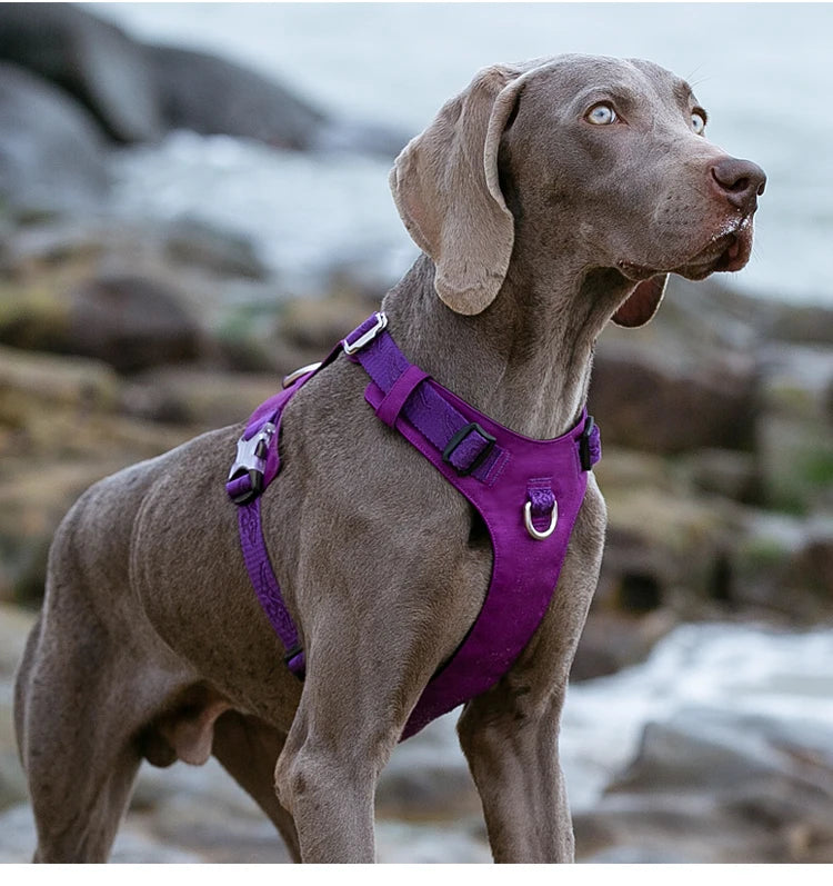 Truelove Dog Harness