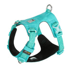 Truelove Dog Harness