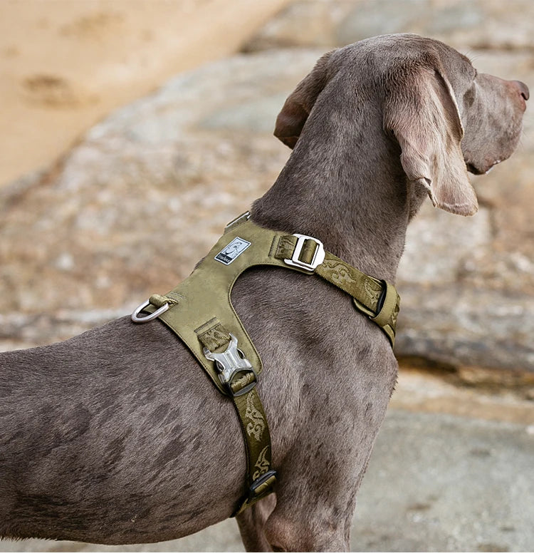 Truelove Dog Harness 