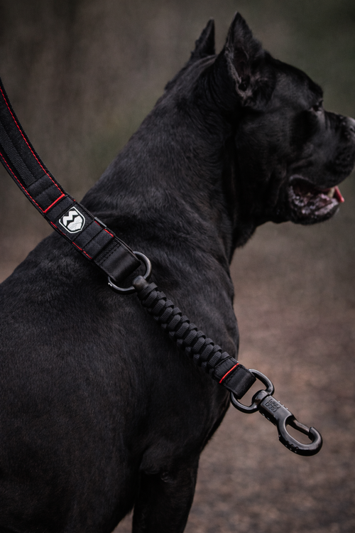 dog product - ronda